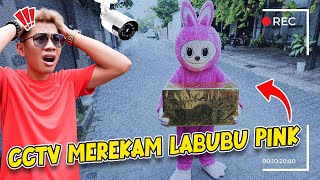 DIKIRA BOHONGAN CCTV MEREKAM JELAS LABUBU PINK MEMBAWA PAKET MISTERIUS KE RUMAH KITA [upl. by Cahan]