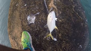 Consejos y Tips para pescar Jureles jack crevalle [upl. by Cinelli]