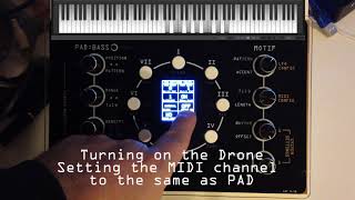 The NDLR  a PAD demo with easy to see and hear notes [upl. by Noyek]