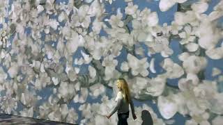 Beyond Van Gogh the Immersive Experience  Almond Blossoms [upl. by Yesteb]