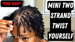 How to do mini Two strand twist onFINEShort natural hair [upl. by Bobette]