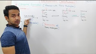 Biomolecules  Osazone Formation  Mechanism with Glucose and Fructose [upl. by Risa257]