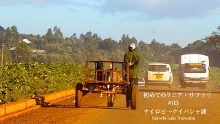 【初めてのケニア・サファリ 03】ナイロビからナイバシャ湖へ Great Rift Valley [upl. by Ydnerb]