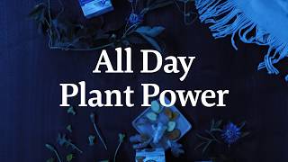 All Day Plant Power  30 seconds [upl. by Suzan]