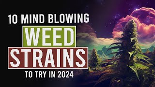 10 MUST TRY Cannabis Strains for 2024 [upl. by Lamdin744]