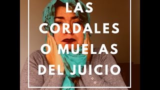 CORDALES  MUELAS DEL JUICIO  Todo lo que debes saber para la cirugía [upl. by Laforge560]