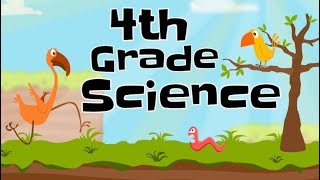 4th Grade Science Compilation [upl. by Corinna]