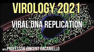 Virology Lectures 2021 8  Viral DNA Replication [upl. by Tam768]