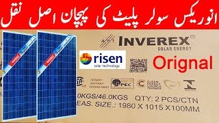 Inverex Risen Solar Panels 325w Review  dgk7 [upl. by Delogu]