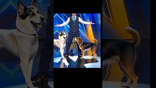 Americas Got Talent Dogs Magic😱😨  Duo SchumacherAGTamericagottalentmagic [upl. by Delaryd]