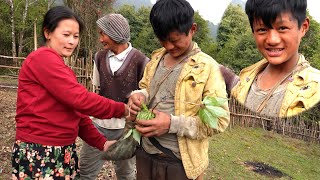 Dhanlaxmi son is coming from the jungle with a herb plant  Life in rural Nepal [upl. by Adnama]