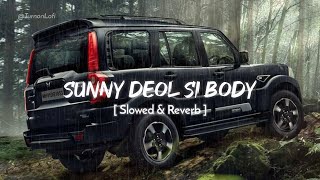 Sunny Deol Si Body Re  Slowed amp Reverb  Raju Punjabi  Choudhar Jaat Ki Latest Haryanvi Song [upl. by Siulesoj556]