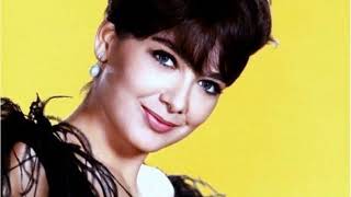 Suzanne Pleshette A Movie Legend From A Different Era Barely Anyone Remembers [upl. by Petromilli]