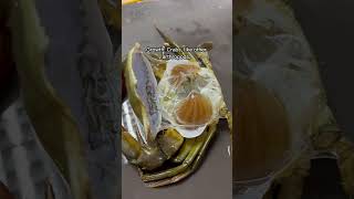 Successful Crab Molting 🦀 aquaculture molting crabfarming [upl. by Nojram]