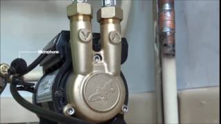 Noise of CT Force brass shower pump  Salamander Pumps [upl. by Dyer]