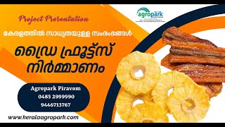 Dry Fruits Manufacturing  Project Presentation [upl. by Lati]