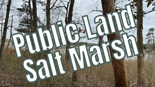 Public Land Salt Marsh [upl. by Naneik]