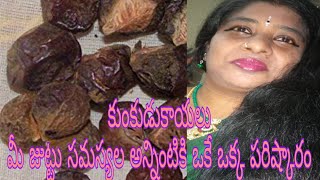 USES OF SOAPNUTSKUNKUDUKAYALU   HAIR CARE  IN TELUGU [upl. by Siva]