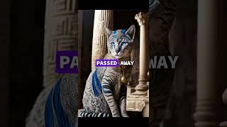 Ancient egyptians and cats🇪🇬 viral story shorts ancienthistory [upl. by Bohlin]