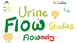 Urinary Incontinence amp Urine retention  Urine flow studies Flowmetry  Urodynamic StudiesUrology [upl. by Compte]