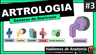 🔴👉 DIARTROSIS  GENEROS 🟩 ARTROLOGIA 3 🟪Hablemos de Anatomía y Algo Mas [upl. by Delmore]