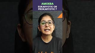 Is Amoeba Eukaryotic or Prokaryotic Organism 🤔 class10 class10science [upl. by Sira]