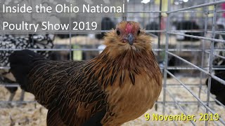 Inside the Ohio National Poultry Show 2019 [upl. by Alix]