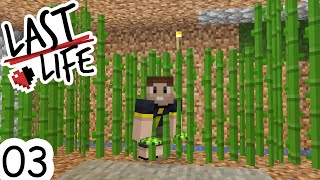 Minecraft Last Life SMP  Ep 03  THE GREAT SUGARCANE HEIST [upl. by Denie]