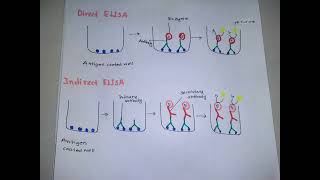 Direct ELISAIndirect ELISASandwich ELISA and Competitive ELISA in Bangla [upl. by Maurey]