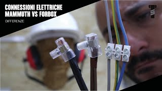 Connessioni elettriche Mammut vs Forbox [upl. by Atirec401]