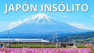 JAPÓN INSÓLITO  Las maravillas más alucinantes de Japón [upl. by Anelhtak]