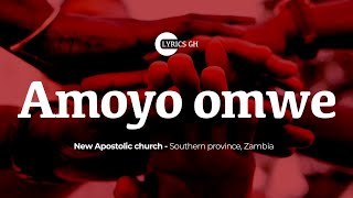 Mosquito Song lyrics TikTok TrendingAmoyo omwe Song [upl. by Ettezzus]