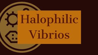 Halophilic Vibrios  Microbiology [upl. by Ariajay]