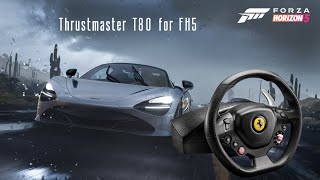 Thrustmaster T80 Racing Wheel Setup for Forza Horizon 5 [upl. by Tanya]