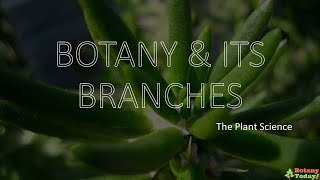 Branches of Botany  Botanical Science Sub branches [upl. by Wain]