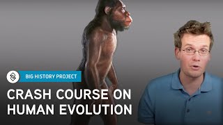 Crash Course Big History 6 Human Evolution  Big History Project [upl. by Idalia]