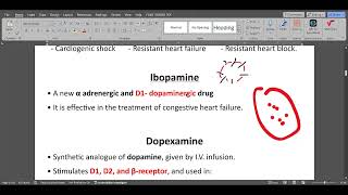 ANS Synthetic sympathomimetics [upl. by Nahtanoj]