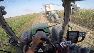 Fendt 716 Vario S4  Crosetto 4 assi amp Claas Jaguar 980 Type498  Corn Silage  View From The Driver [upl. by Harriet]