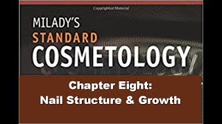 Ch 8 Nail Structure and Growth How to Study for Cosmetology Exam [upl. by Aivatnohs358]