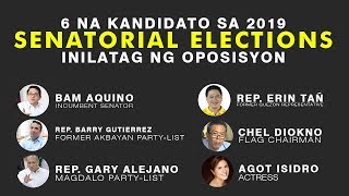 liberal party senatorial lineup 2019 [upl. by Nnylasor280]