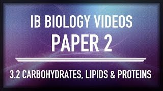 Carbohydrates lipids and proteins  IB SL Biology Past Exam Paper 2 Questions [upl. by Dannye295]