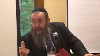 Halakhah and MetaHalakhic Considerations  Chaim Rapoport [upl. by Suiraj115]