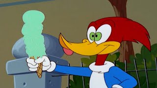 Woody se vuelve loco por helado  Mas Episodios  El Pájaro Loco [upl. by Wenger]