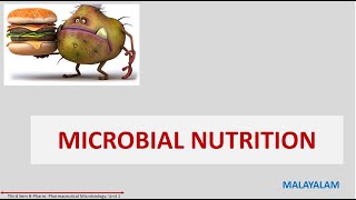 Microbial nutrition Classification based on nutritional habit microbial nutrients classification [upl. by Alberik220]