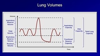 Pulmonary Function Tests PFT Lesson 1  An Introduction [upl. by Ott625]