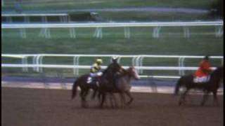 Triple Crown Winners Secretariat Seattle Slew and Affirmed [upl. by Lanod76]