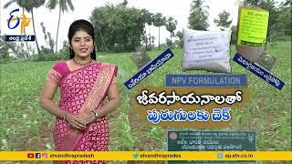 అన్నదాత  20th April 2023  Annadata  Full Bulletin  ETV Andhra Pradesh [upl. by Bridwell]