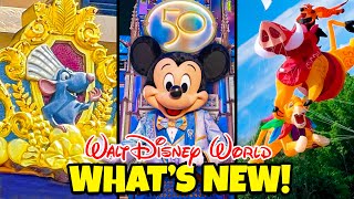 Top 10 New Rides amp Attractions for Walt Disney Worlds 50th Anniversary [upl. by Odnanreh133]