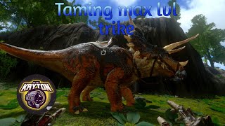 Taming max level trike and leveling up  ark season 1 ep5  ark survival evolved [upl. by Winn]