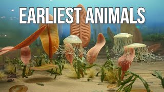 Precambrian Creatures The First Animals [upl. by Geller]